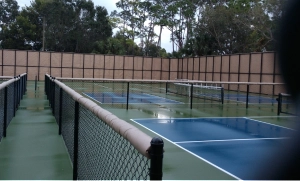 Build acoustic fencing around the pickleball court