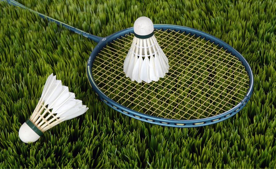 pickleball vs. badminton